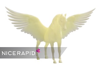 Rapid Prototyping